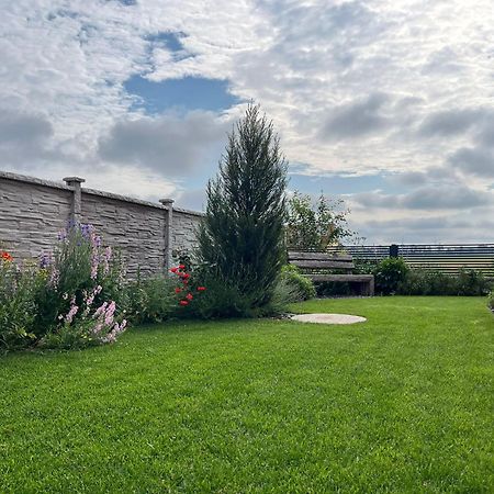 Villa Rose Close To Vienna & Airport Maria Ellend Extérieur photo