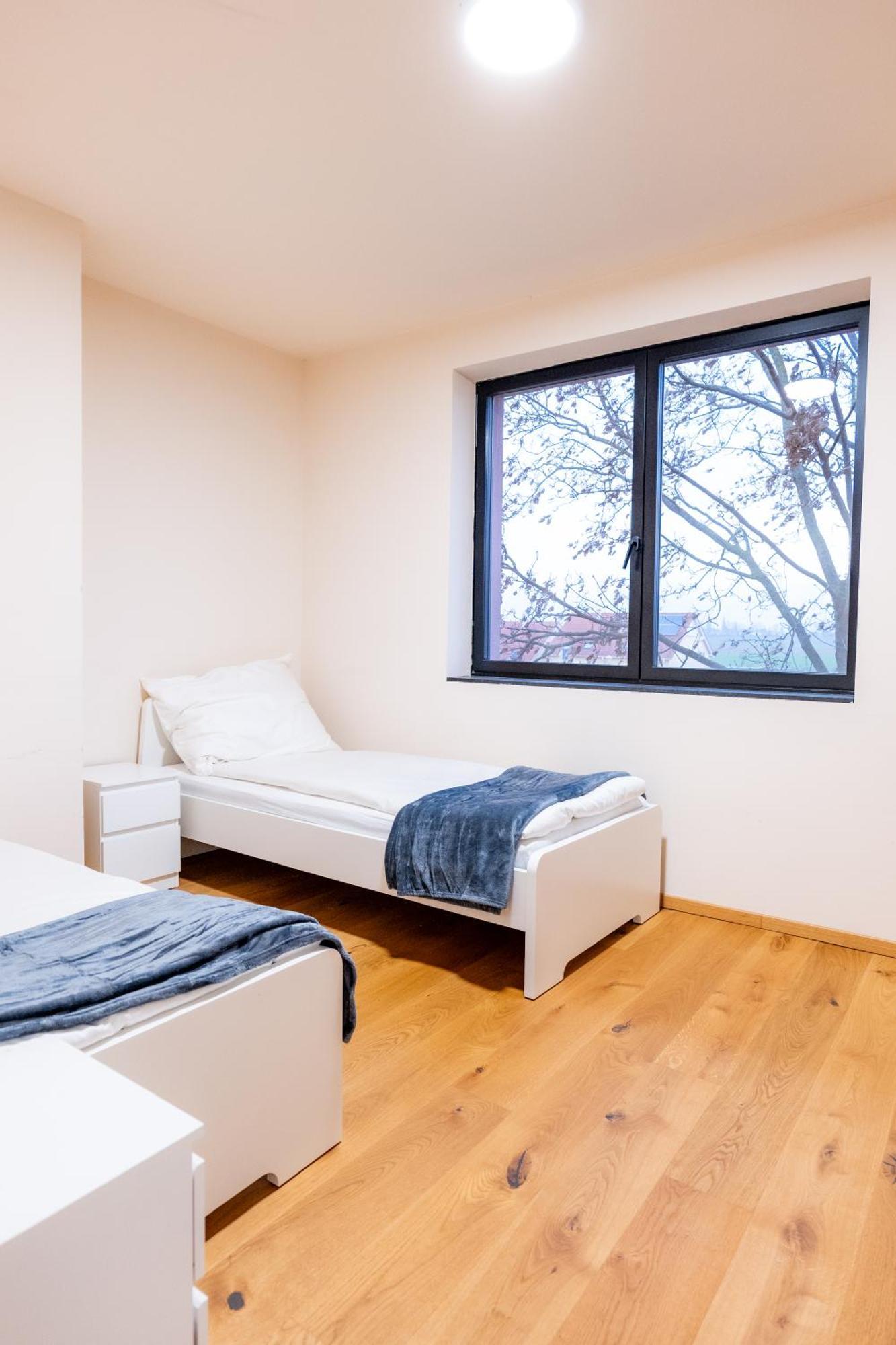 Villa Rose Close To Vienna & Airport Maria Ellend Extérieur photo